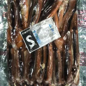 Fresh Frozen Peru Giant Squid Fillet with high quality