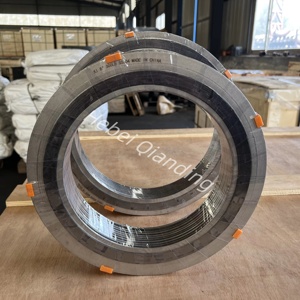 Đảm bảo chất lượng Graphite xoắn ốc vết thương Gasket với vòng bên trong và vòng ngoài SPW Gasket - Product Image 5