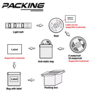 Tira de <span class=keywords><strong>LED</strong></span> SMD2835 110V Personalizable, 120D/<span class=keywords><strong>60D</strong></span>, Alto Voltaje, Control por Aplicación, Cortable, IP65, Blanco Frío/Blanco Cálido, 6500K/2700K - Product Image 6