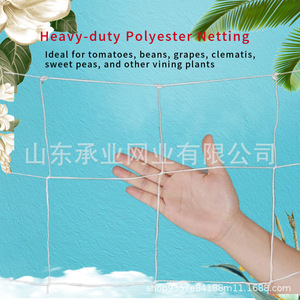 Filet de treillis Chengye en polyester blanc tissé pour concombres, tomates, plantes grimpantes de jardinage - Product Image 3