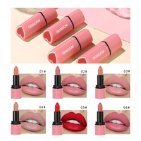 Rouge à lèvres crémeux hydratant, waterproof, vegan, cruelty-free, rouge sexy, de haute qualité, non-collant, effet minéral, maquillage nude, cosmétique à marque privée