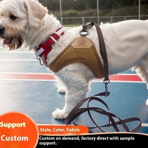 ชุดสายรัดหน้าอกสุนัขผ้ากำมะหยี่เนื้อด้านรูปตัว Y ที่มีหัวเข็มขัดที่ทันสมัยเชือกดึงเสื้อกั๊กทำจากโพลีเอสเตอร์ที่ทนทาน - Product Image 4