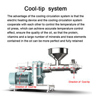 Presse à huile de coco en acier inoxydable KAY XIN YUE, capacité 800 kg/h, pressage à froid et à chaud, économie d'énergie, automatique
