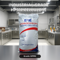 Poudre de HPMC (hydroxypropylméthylcellulose) de qualité industrielle, prix usine, logo OEM personnalisé, pour enduit mural