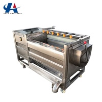 Industriële groente- en fruitwasmachine met hogedruk borstelrol, milieuvriendelijk voor groenteverwerkingsbedrijven