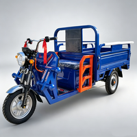Kart électrique tout-terrain 750W 48V pour adultes avec batterie 20Ah, moteur BLDC, transmission par arbre, buggy des dunes, utilisation en extérieur, 70 km/h, charge 200 kg