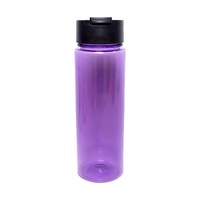 Bouteille d'eau avec infuseur à fruits sans BPA, avec filtre, anti-fuite, bouteille de sport en plastique pour thé détox, jus