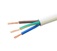 Cable de Alimentación Impermeable con Cubierta de PVC de 3 Núcleos de Cobre SJT SJTW de 2 mm 41/0.254, Personalizado de Fábrica, Venta al por Mayor