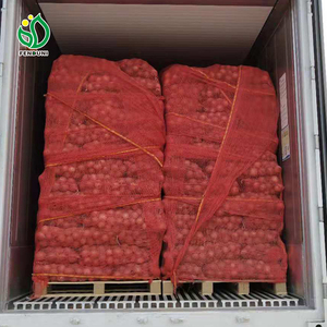 2024 Onion 10 kg Price Oignons Frais Chinese Onion <strong>Supplier</strong> Fresh Onion of Yellow <strong>Color</strong> - Product Image 4