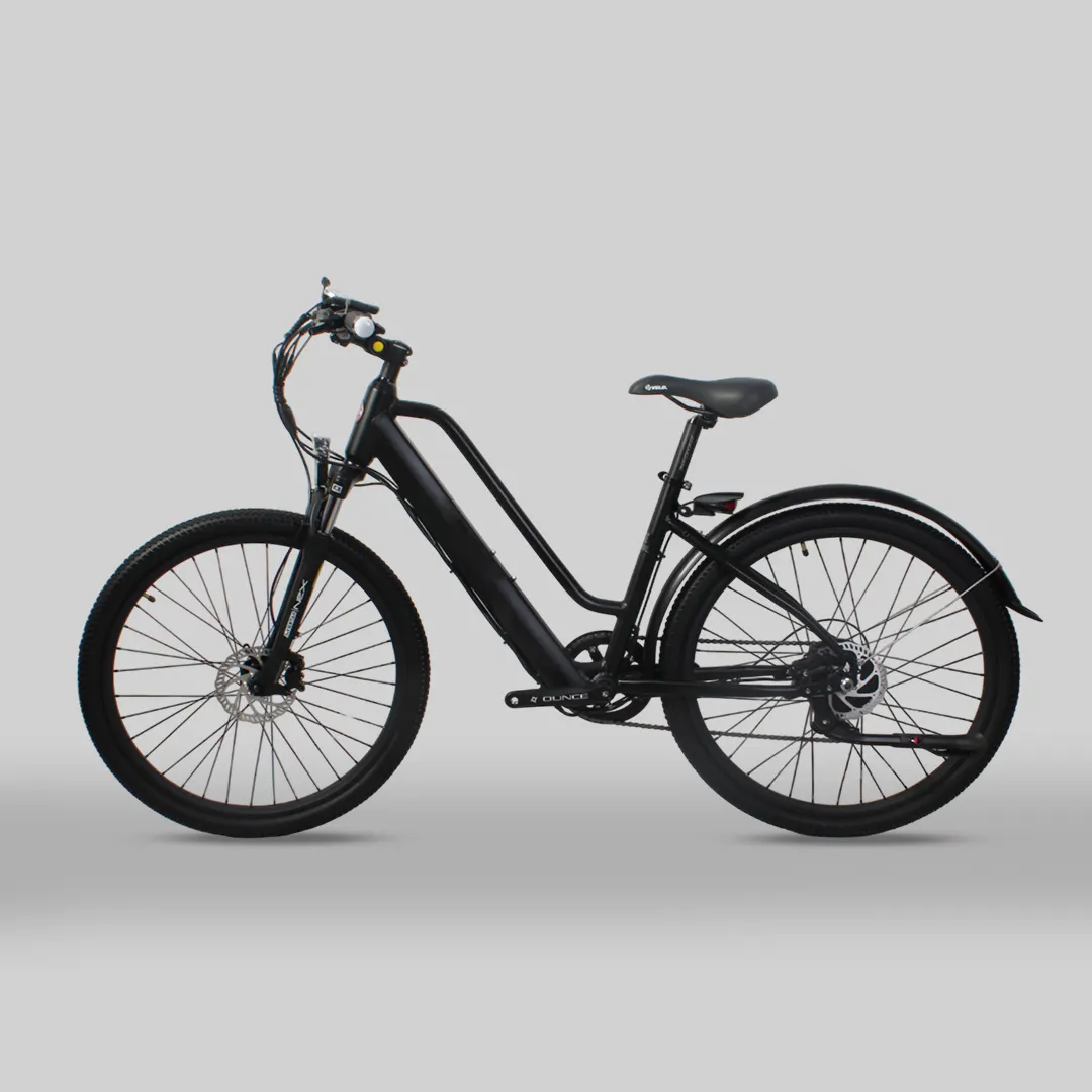 OEM ODM 26 inch electric bicycle 10Ah Lithium Battery E bike 36V 250W 350Welectric bike for adults