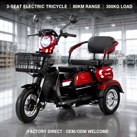 Tricycle électrique 3 places pour adultes, scooter électrique à 3 roues 60V 800W, scooter de mobilité avec éclairage LED et double suspension pour la famille