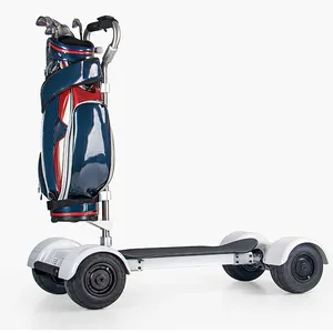 Специальный дизайн, широко используемый Быстрый литиевый аккумулятор, доска для гольфа, Электрический скутер