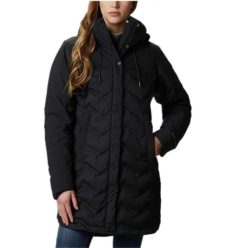 2023 nuovo stile cappotto lungo con cappuccio piumini caldi per le donne cappotti invernali in piuma d'anatra