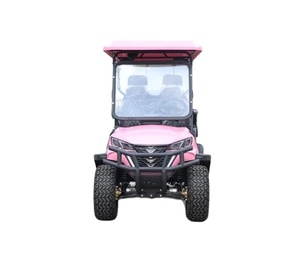 Voiturette de golf classique personnalisée HKBG 1-2 places 48V 5000W, vitesse 30-50 km/h, phares LED, certifiée GCC/DOT/CE/EEC - Product Image 1