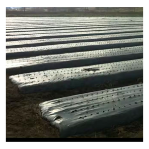 <span class=keywords><strong>Film</strong></span> plastique PE personnalisé en gros, feuille de polyéthylène transparente - Product Image 3