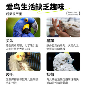 Papağan gökkuşağı masaüstü interaktif <span class=keywords><strong>stand</strong></span>ı Spiral <span class=keywords><strong>PVC</strong></span> pembe dekompresyon oyuncak stres giderici eğitim eğitim kuş <span class=keywords><strong>stand</strong></span>ı - Product Image 5