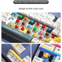 Personalized Translucent Thai Keycaps ABS Material OEM Profile Doubleshot Process Mechanical Keyboard Keycaps