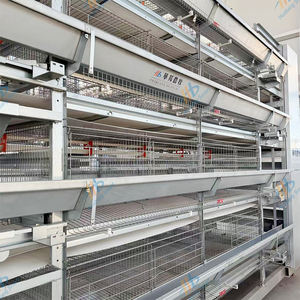 Nuovo Design buon prezzo attrezzature per allevamento di pollame di pollo tipo H strato gabbie di pollo vendita diretta in fabbrica - Product Image 4
