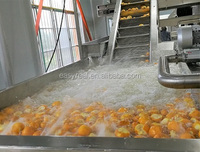 Mini Aangepaste Fruit Babyvoeding Productielijn Babyvoeding Maker Processor Verwerking Lijn
