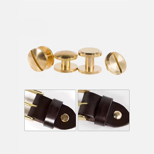 Tùy Chỉnh Chicago Vít Kim Loại Đinh Tán Khóa <span class=keywords><strong>Brass</strong></span> Thép Không Gỉ Khóa Vít - Product Image 4