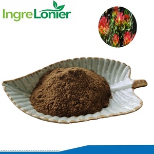 En kaliteli toplu Rhodiola Rosea özü tozu Rhodiola Rosea kök ekstresi Rhodiola Rosea tozu <span class=keywords><strong>3</strong></span>% Rosavins ve 1% Salidroside - Product Image 2