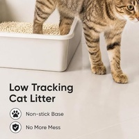 Litière pour chat au tofu multi-chats super désodorisante, neutralisation puissante des odeurs, forte absorption d'eau, faible poussière, litière pour chat biodégradable