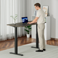 Fabricant OEM/ODM de bureaux debout électriques réglables en hauteur, mobilier de bureau ergonomique, poste de travail assis-debout à double moteur