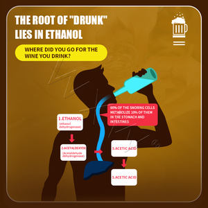 Bebida Líquida Natural para Recuperação de Ressaca, Suporte à Saúde do Fígado, Suplemento de Limpeza e Desintoxicação - Product Image 5