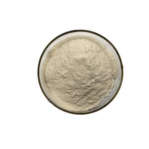 Approvisionnement d'usine <span class=keywords><strong>gelée</strong></span> <span class=keywords><strong>royale</strong></span> poudre capsule naturel <span class=keywords><strong>gelée</strong></span> <span class=keywords><strong>royale</strong></span> poudre lyophilisée <span class=keywords><strong>Gelée</strong></span> <span class=keywords><strong>Royale</strong></span> Poudre - Product Image 2