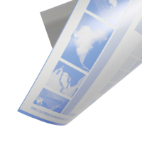 Baseysprint Chine impression offset papier prépresse uv plaques positives pour ctcp systèmes