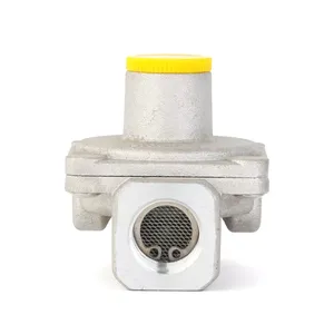 HEAPE Rifornimento Della Fabbrica Piccolo Regolatore del Gas Naturale - Product Image 2