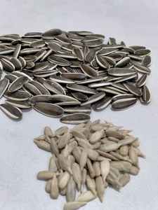 Semillas de girasol directas de granja de Egipto de alta calidad Estilo popular Venta caliente Producto agrícola estrictamente supervisado - Product Image 3