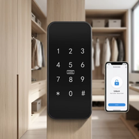 Cerradura Inteligente Digital RFID con Teclado para Gabinetes TTlock APP, Modo Público para Muebles de Hotel, Desbloqueo Remoto Opcional, Madera y Aluminio