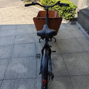 <span class=keywords><strong>Bici</strong></span> da carico elettrica per adulti fornita in Europa: 7 marce, motore mozzo posteriore, batteria al litio 36V, telaio in acciaio, economico - Product Image 6