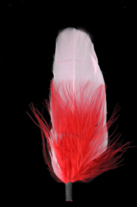 HS naturel Cowboy chapeau plume pour bricolage artisanat chapellerie noël fête chapeau Costume capteur de rêves décor ornement Fedora chapeau accessoire - Product Image 3
