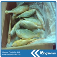 Bon prix et bonne qualité jaune glacé Croaker jaune Corvina