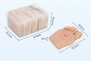 Modèle de pied diabétique en silicone de haute qualité avec ulcères purulents pour l'enseignement infirmier - Product Image 6
