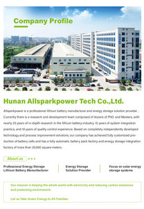 Allsparkpower APB 51.2V 可堆叠液态磷酸铁锂电池 10-20kWh 6000 次循环，适用于太阳能家庭系统 - Product Image 6