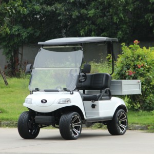 HDK para Scooters Todoterreno, UTV, ATV, Vehículo Utilitario, Carritos de Golf Eléctricos de 48V con Caja de Carga, Mini Camioneta, 30 km/h, 30-50 km - Product Image 2