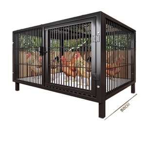Comedero Automático <span class=keywords><strong>para</strong></span> Aves de Corral, Caja de Alimentación <span class=keywords><strong>para</strong></span> Gallinas, Recolector de Palomas, Especial <span class=keywords><strong>para</strong></span> Exteriores - Product Image 1