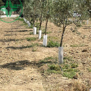 Résistance à l'eau durable personnalisée en usine Protecteurs de plantes d'extérieur naturels Protège-arbres en plastique ondulé - Product Image 1