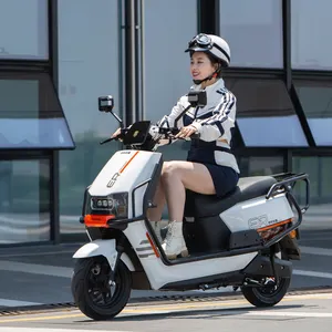 저렴한 가격 중국 공급 업체 2000w 전기 오토바이 전기 스쿠터 인도 ebike 스쿠터 전기 오토바이