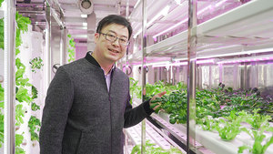 40-футовая передвижная полностью автоматическая гидропонная система NFT, интеллектуальный гидропонный контейнер-ферма для выращивания листовой зелени - Product Image 6