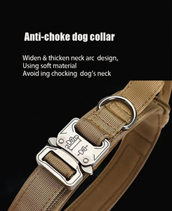 Renkli Evcil Hayvan Tasması ve Tasma Seti, Özel Silikon Harfli Takılarla Kişiselleştirilmiş Köpek İsimli Kimlik Tasması ve Tasma Kombinasyonu - Product Image 2