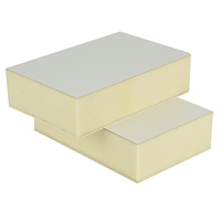 Panneau sandwich FRP PU pour chambre froide portable et chambre de congélation
