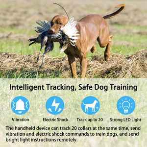 <span class=keywords><strong>Collar</strong></span> de Seguimiento de Salud para Perros - Sensores de Grado Médico IP68, Datos de Actividad Física 24H, Recordatorios de Sueño/Actividad, Tecnología ESEEK - Product Image 4