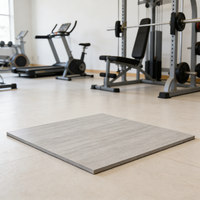 Umweltfreundliche, Rutschfeste, Langlebige EPDM-Gummiflocken-Garagenbodenplatten mit Holzoptik und Stoßdämpfung für Basketball im Innenbereich