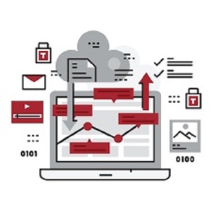 El Mejor Software de Desarrollo de Aplicaciones Móviles y Web Personalizadas, Software de Evaluación de Ingeniería Social, Versión de Internet, Soporte Técnico - Product Image 1