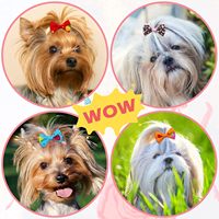 Nœuds pour animaux de compagnie à motifs variés avec élastique, accessoires mignons pour chien et chat en forme de fleur, style aléatoire, accessoires de toilettage pour animaux OEM ODM