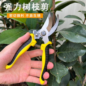 Tijeras de podar manuales Pinheng de acero inoxidable, color verde, para ramas de árboles de jardín - Product Image 2